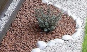 PastedGraphic-6-imágenes-12